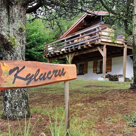 Chalet Kylucru 6 Personnes Classe 2 Etoiles Βίλα Xonrupt-Longemer Εξωτερικό φωτογραφία
