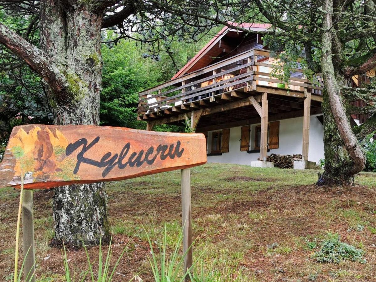 Chalet Kylucru 6 Personnes Classe 2 Etoiles Βίλα Xonrupt-Longemer Εξωτερικό φωτογραφία